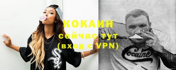 дживик Абаза