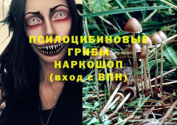 spice Абдулино