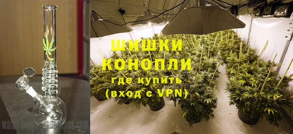 дживик Абаза