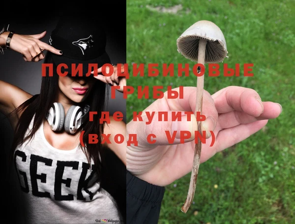 спайс Алексин