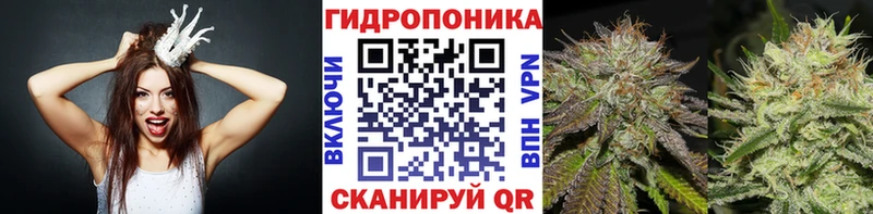 Бошки марихуана сатива Белый